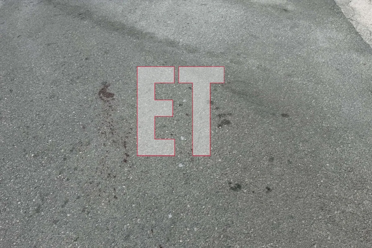 Εσωτερική εικόνα άρθρου
