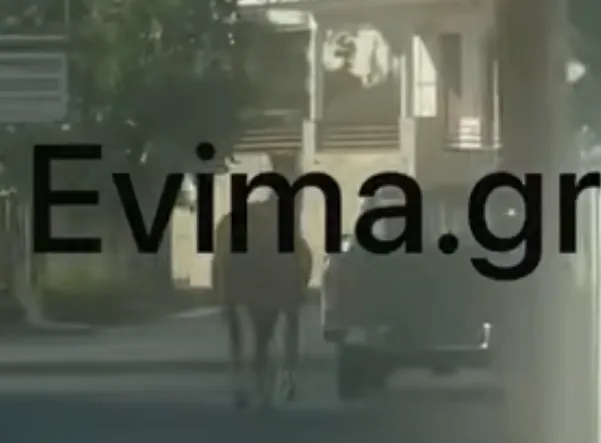 Εύβοια: Οδηγός έδεσε τραυματισμένο άλογο στην καρότσα και το έσερνε στον δρόμο — Βίντεο προκαλεί οργ