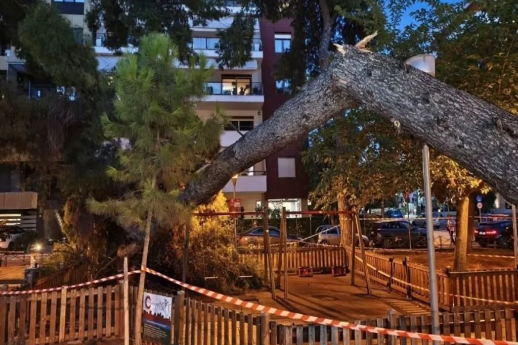 Θεσσαλονίκη: Εισαγγελική έρευνα για την πτώση δέντρου σε παιδική χαρά στην Καλαμαριά