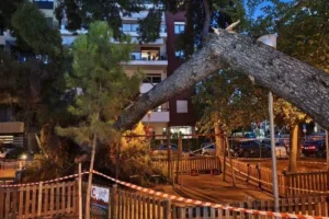 Θεσσαλονίκη: Εισαγγελική έρευνα για την πτώση δέντρου σε παιδική χαρά στην Καλαμαριά