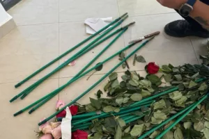 «Ελ. Βενιζέλος»: 100 κιλά κοκαΐνης κρυμμένα σε τριαντάφυλλα