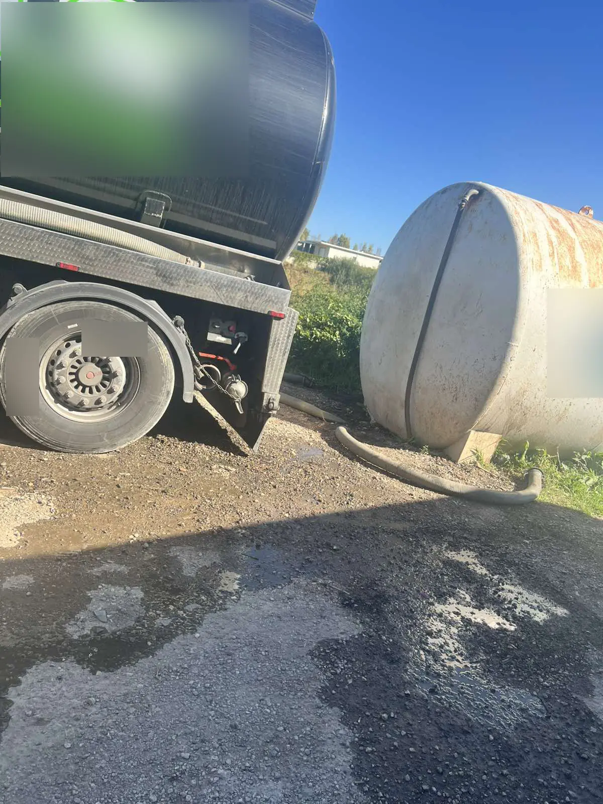 Εσωτερική εικόνα άρθρου