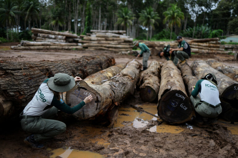 COP17: Ξεκινά σήμερα η παγκόσμια διάσκεψη για τη φύση – Εκτός στόχων ο πλανήτης