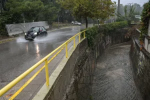Λεωφόρος Μαραθώνος: Κυκλοφοριακά προβλήματα, λόγω πτώσης δέντρου
