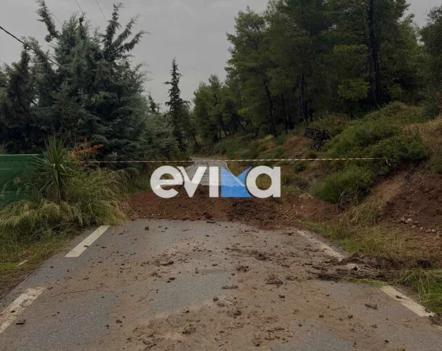 Εσωτερική εικόνα άρθρου