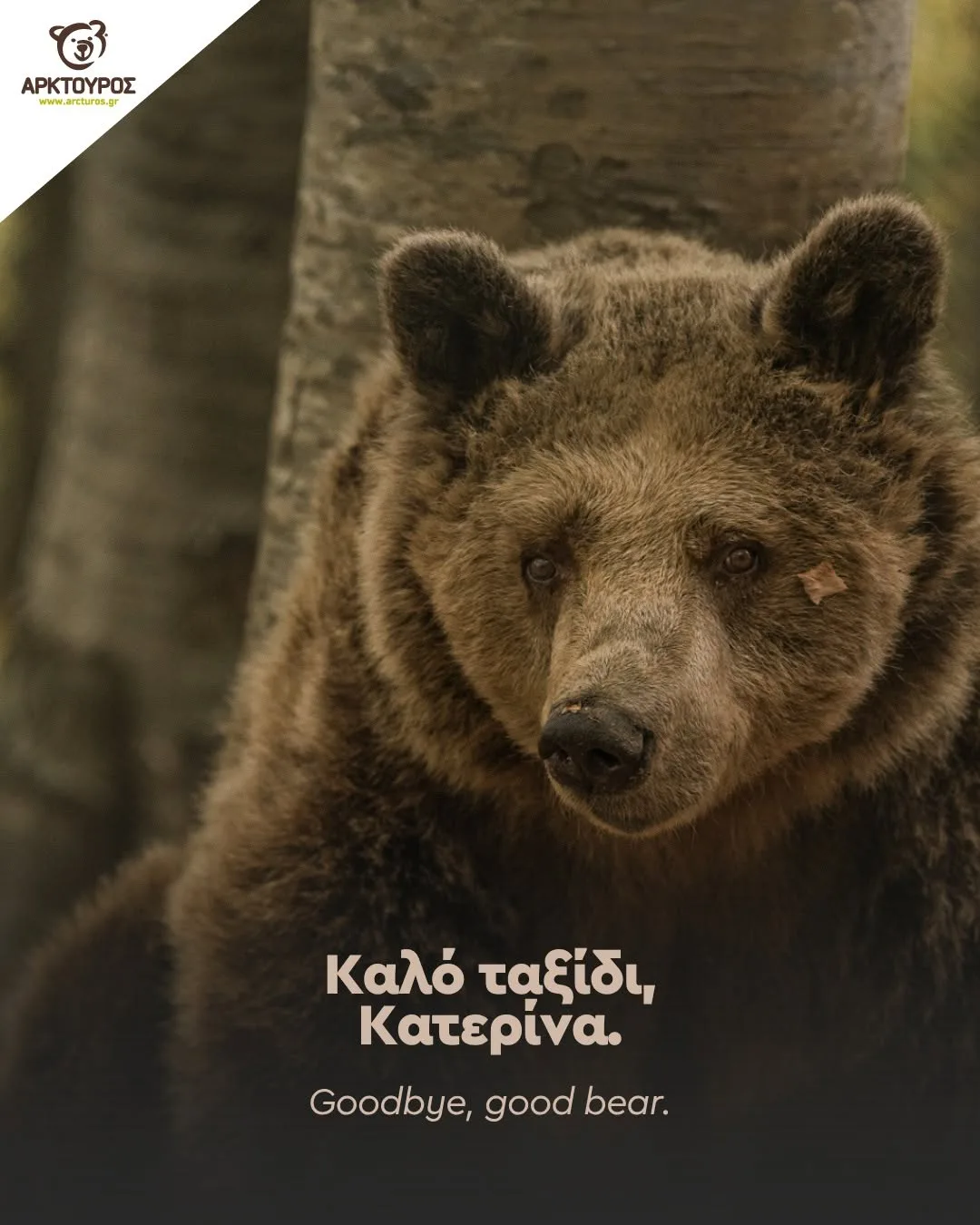 Εσωτερική εικόνα άρθρου