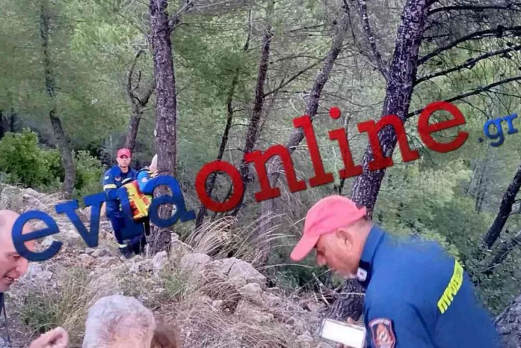 Σοκαριστικό τροχαίο στην Εύβοια: Όχημα έπεσε από γκρεμό 30 μέτρων – Απεγκλωβίστηκαν γιαγιά και