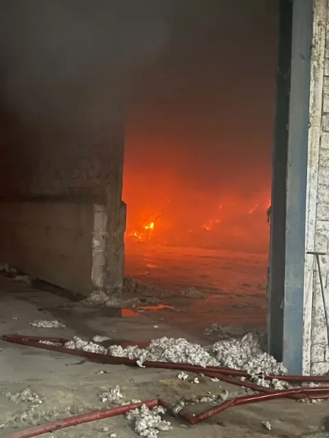 Εσωτερική εικόνα άρθρου
