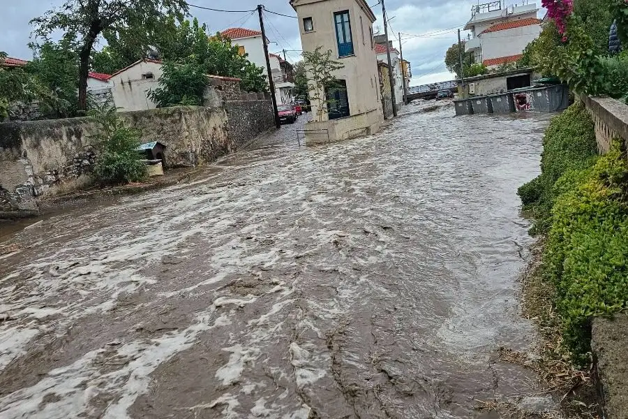 Εσωτερική εικόνα άρθρου
