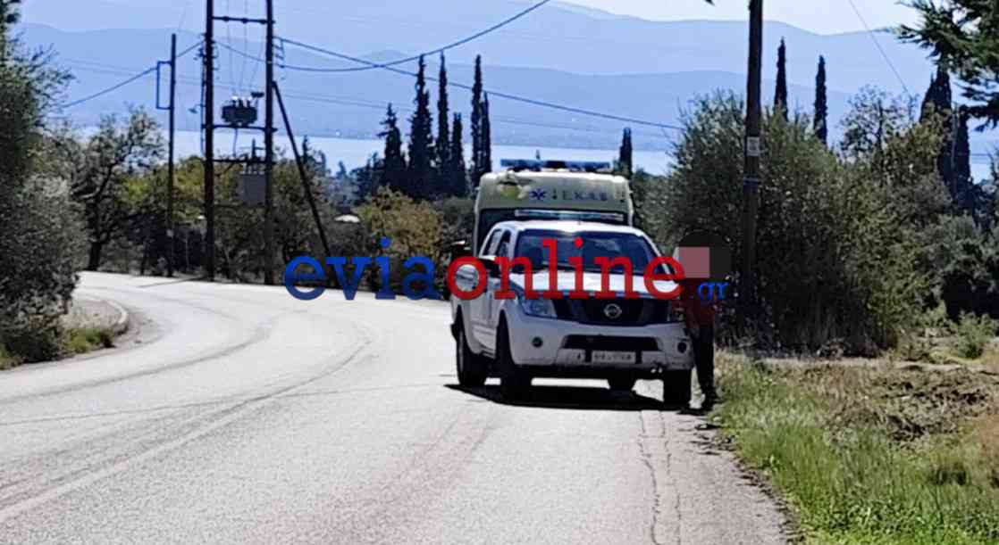Εσωτερική εικόνα άρθρου