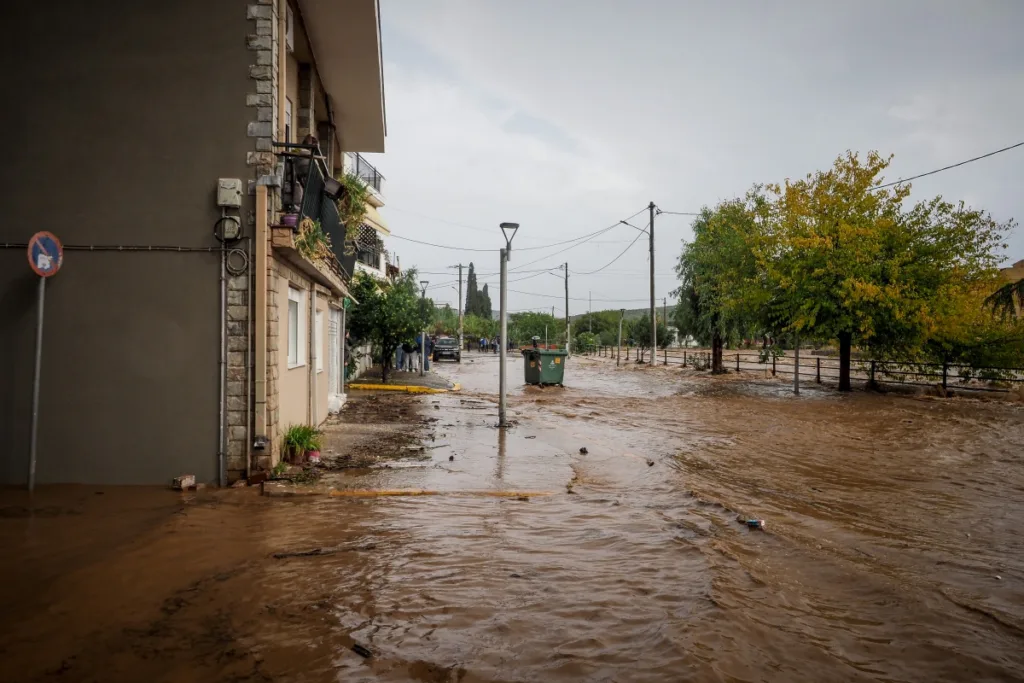 Εύβοια: Υπερχείλισε ο ποταμός στα Ψαχνά – Δείτε βίντεο