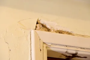 Κυψέλη: Η Ελληνικό Μετρό δεσμεύεται να παραδώσει όλα τα στοιχεία στους κατοίκους – Εντείνονται