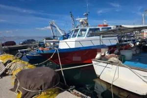 Νάξος: Καύσιμα, «μαύρες» μεταγγίσεις και καταγγελίες για χρηματισμούς – Στο μικροσκόπιο πέντε 
