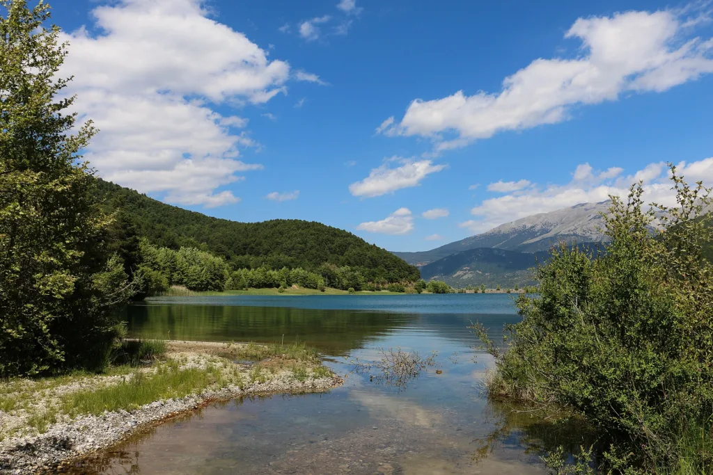 Εσωτερική εικόνα άρθρου
