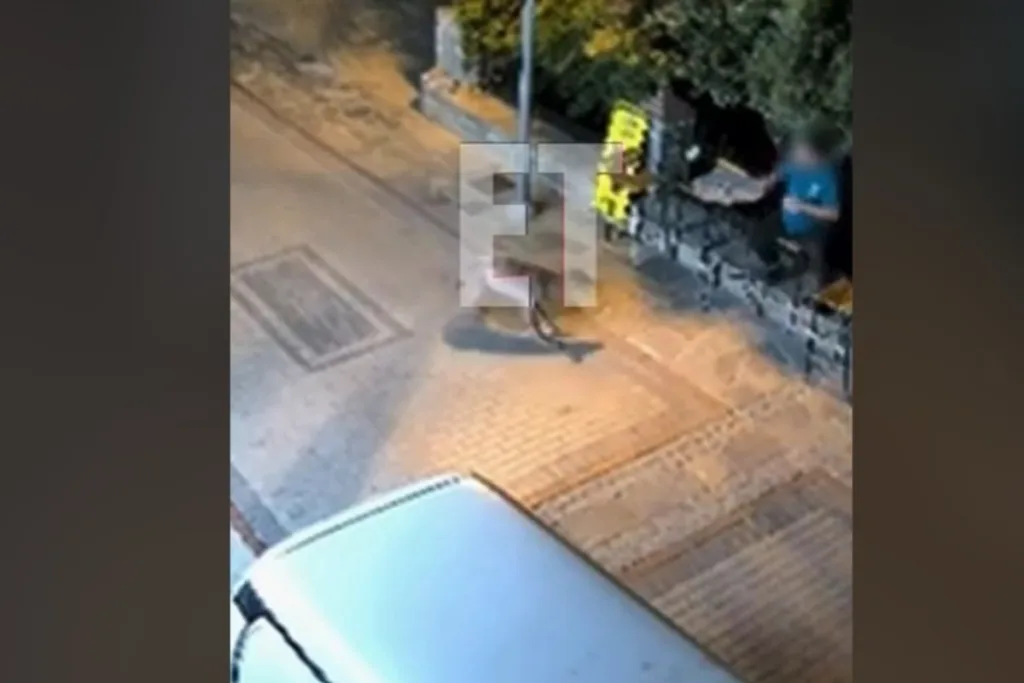 Χαλκιδική: Νέα αναστάτωση από λύκο – Εμφανίστηκε ξαφνικά μπροστά σε κάτοικο – Δείτε βίντ