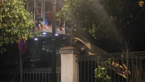 Συναγερμός δίπλα στο Μέγαρο Μαξίμου: Κατέρρευσε δέντρο στην Ηρώδου Αττικού