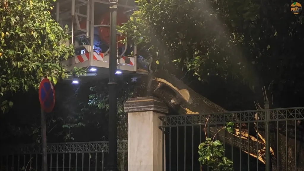 Συναγερμός δίπλα στο Μέγαρο Μαξίμου: Κατέρρευσε δέντρο στην Ηρώδου Αττικού