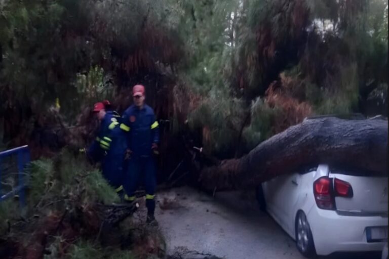 Παλαιό Φάληρο: Πεύκο καταπλάκωσε αυτοκίνητο έξω από σχολείο