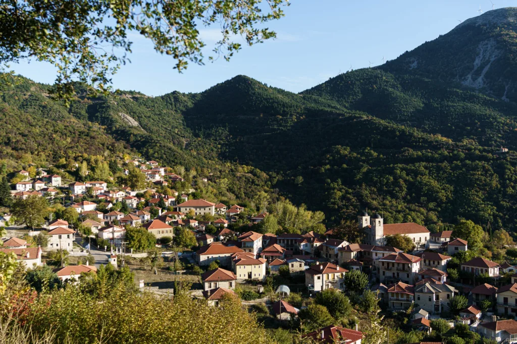 Εσωτερική εικόνα άρθρου