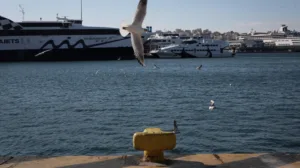 Απαγορευτικό απόπλου από Ραφήνα και Λαύριο – Τροποποιήσεις δρομολογίων από Πειραιά για Αργοσαρονικό