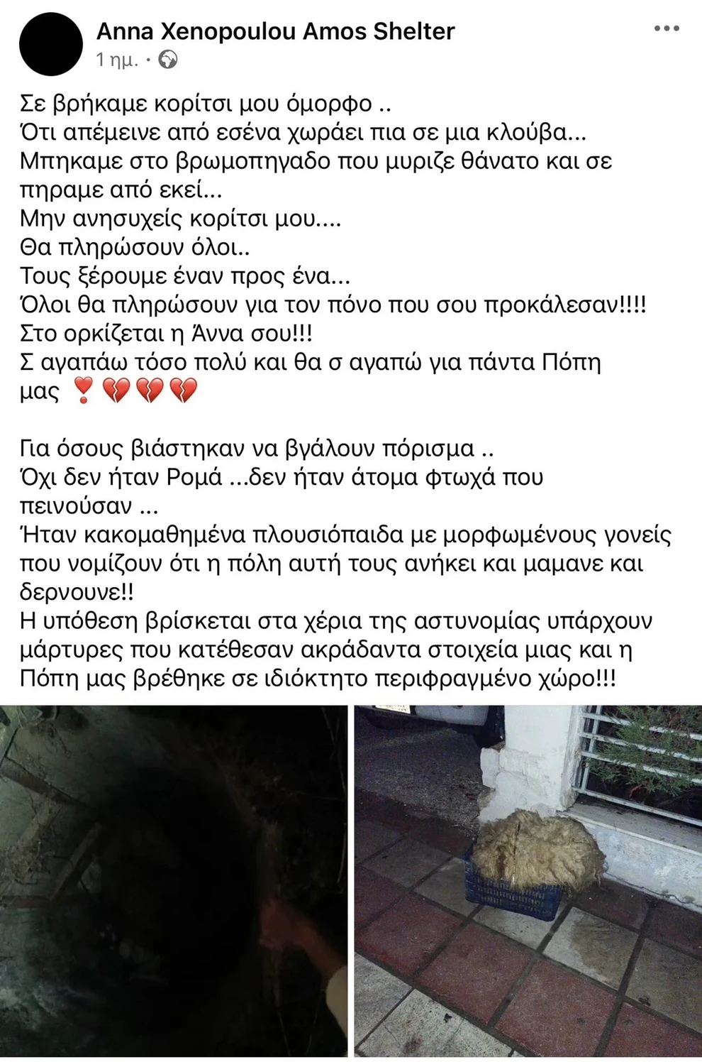 Εσωτερική εικόνα άρθρου