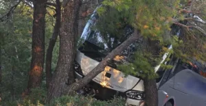 Αχαρνές: Λεωφορείο του καζίνο εξετράπη της πορείας του και έπεσε σε δέντρο – Διακοπή κυκλοφορίας στη Λεωφόρο Πάρνηθος