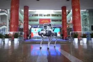 Κίνα: 16 ρομποτικά σκυλιά κάνουν περιπολίες στη γιγαντιαία αγορά της Γιγού