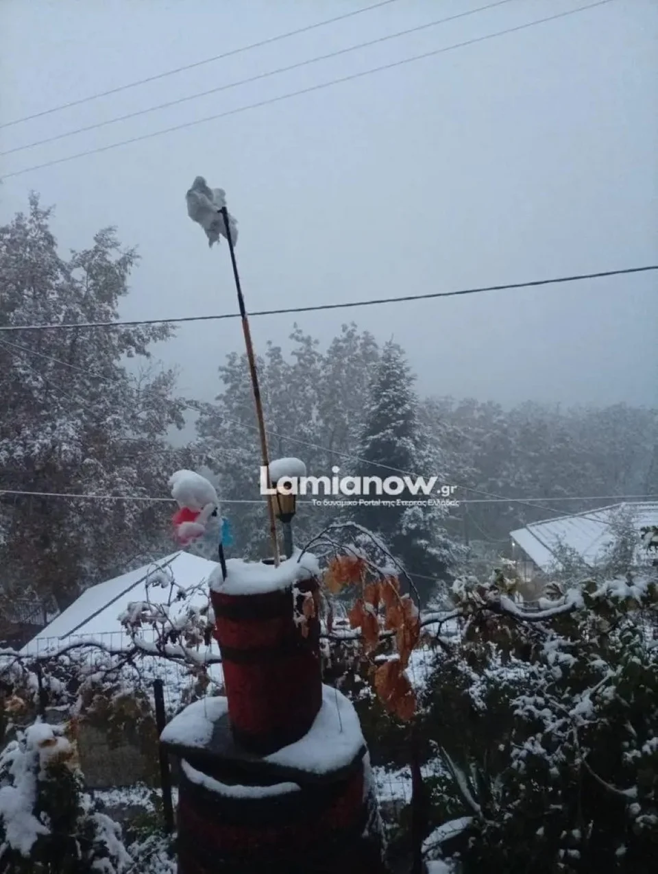 Εσωτερική εικόνα άρθρου