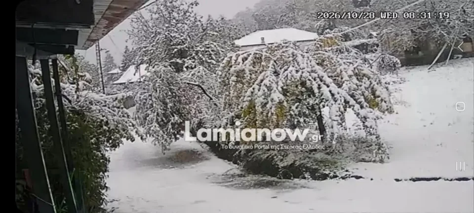 Εσωτερική εικόνα άρθρου