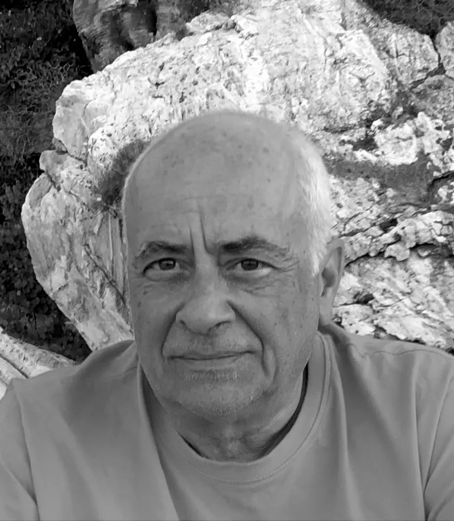 Εσωτερική εικόνα άρθρου
